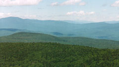 The White Mountains